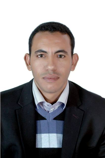 محمد الشيخ ولد التلميدي