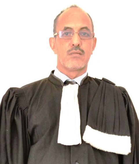 الأستاذ: الشيخ ولد حندي - عضو المجلس الدستوري سابقا