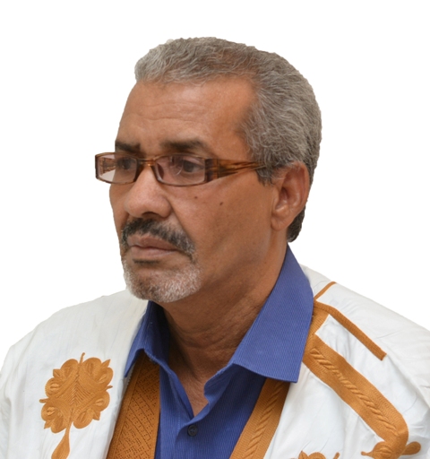الدكتور المحامي/ محمد سيدي محمد المهدي