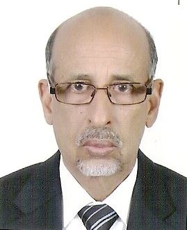 إسلمو ولد سيدي أحمد كاتب وخبير لغوي وباحث في مجال الدراسات المعجمية والمصطلحية